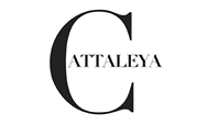 Cattaleya